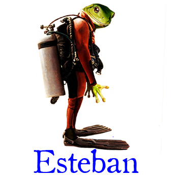 Avatar de l’utilisateur