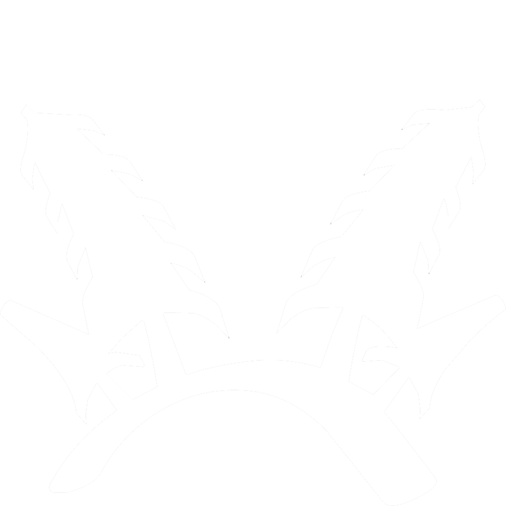 Image du mod