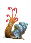 Avatar du membre