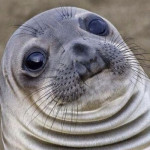 Avatar du membre
