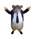 Avatar du membre