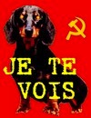 Avatar du membre
