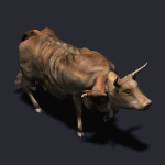 Avatar du membre