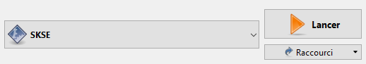 Fichier:SKSE.png