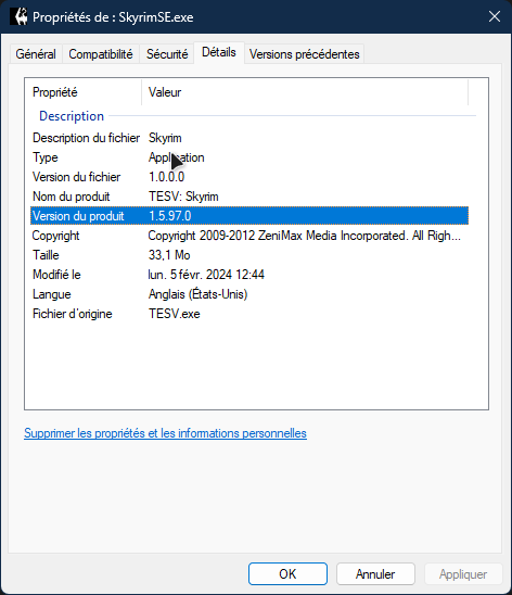 Fichier:Propriétés SkyrimSE-exe.png
