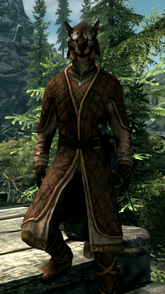 Fichier:Marchand de Poussins.png