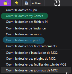 Fichier:Dossier managment MO2.png