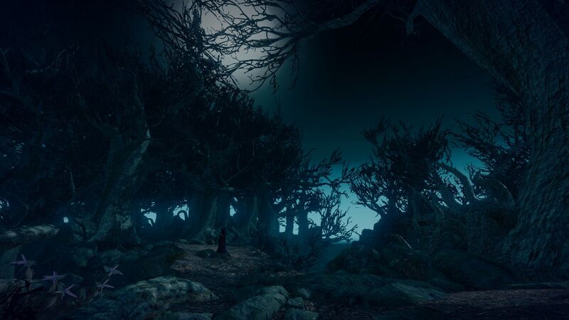 Fichier:La Forêt Ancienne.jpg