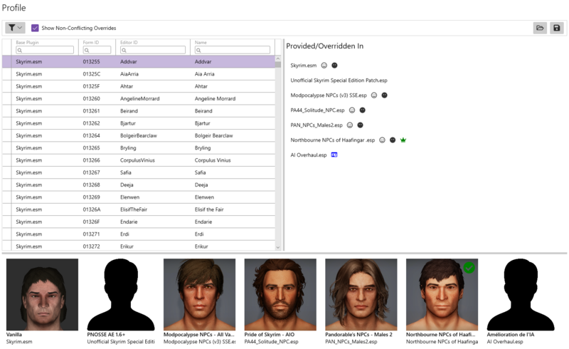 Fichier:EasyNPC Profile.png