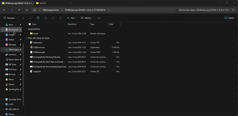 Fichier:Downgradeappf4vrai.gif
