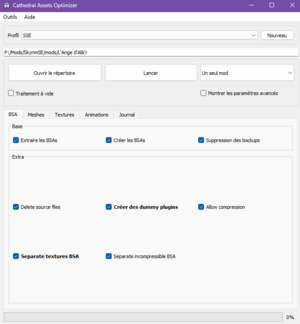 Fenêtre de Cathedral Assets Optimizer