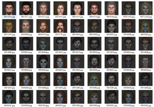 Aperçu des mugshots